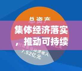 集体经济落实，推动可持续发展的核心力量