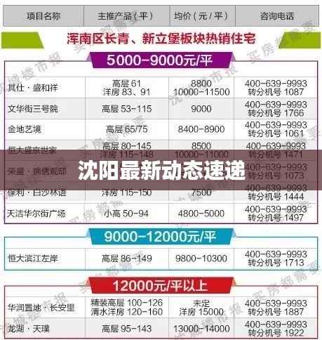 沈阳最新动态速递