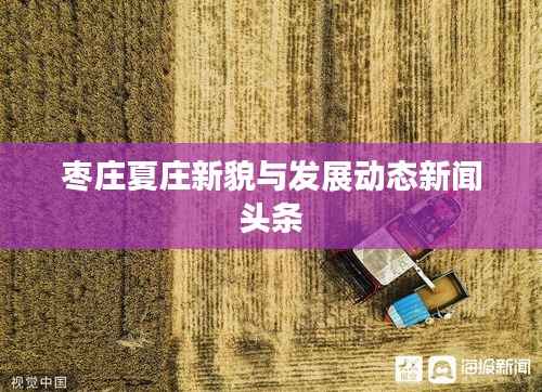 枣庄夏庄新貌与发展动态新闻头条