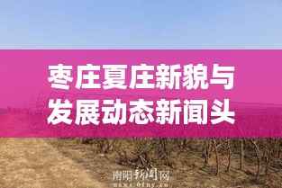 枣庄夏庄新貌与发展动态新闻头条