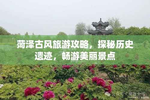 菏泽古风旅游攻略，探秘历史遗迹，畅游美丽景点