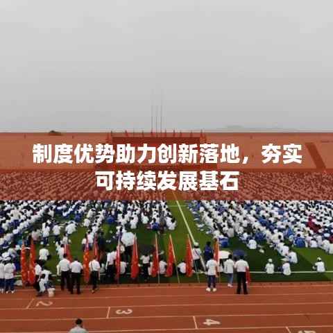 制度优势助力创新落地,夯实可持续发展基石