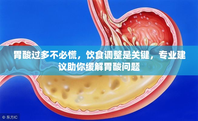 胃酸过多不必慌,饮食调整是关键,专业建议助你缓解胃酸问题