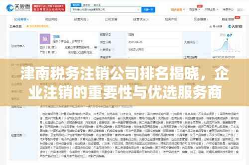 津南税务注销公司排名揭晓，企业注销的重要性与优选服务商