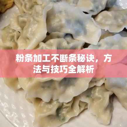 粉条加工不断条秘诀，方法与技巧全解析