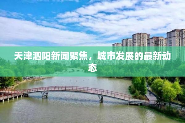 天津泗阳新闻聚焦，城市发展的最新动态