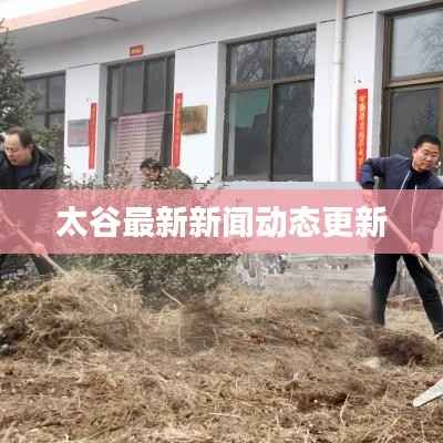 太谷最新新闻动态更新
