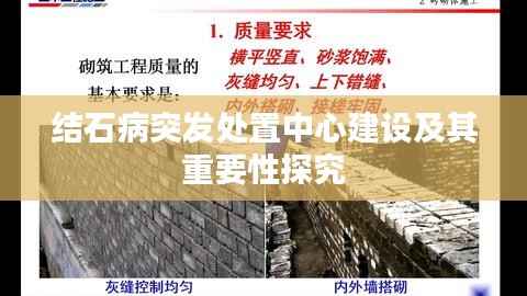 结石病突发处置中心建设及其重要性探究