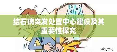 结石病突发处置中心建设及其重要性探究
