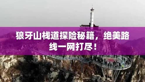 澹泊明志，宁静致远 第2页