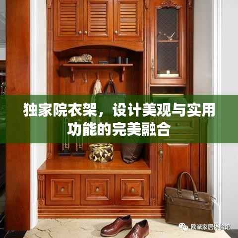 独家院衣架，设计美观与实用功能的完美融合