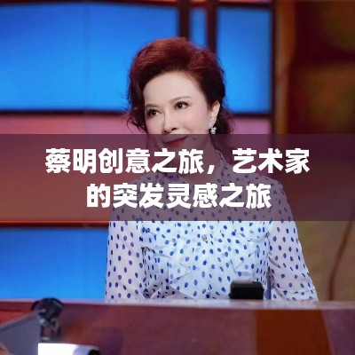 蔡明创意之旅,艺术家的突发灵感之旅