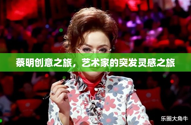 蔡明创意之旅,艺术家的突发灵感之旅