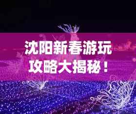 沈阳新春游玩攻略大揭秘!