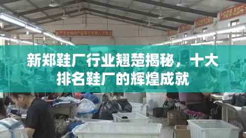 新郑鞋厂行业翘楚揭秘，十大排名鞋厂的辉煌成就