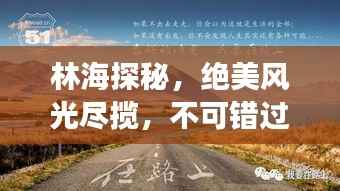 林海探秘，绝美风光尽揽，不可错过的旅行攻略！