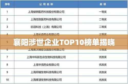 襄阳涉世企业TOP10榜单揭晓