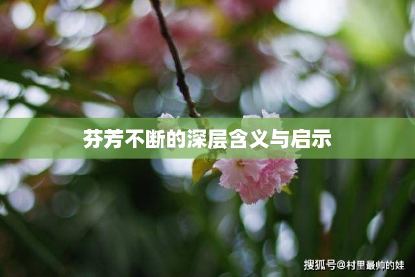 芬芳不断的深层含义与启示