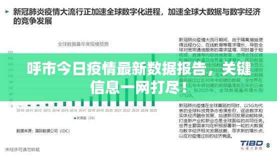 呼市今日疫情最新数据报告，关键信息一网打尽！
