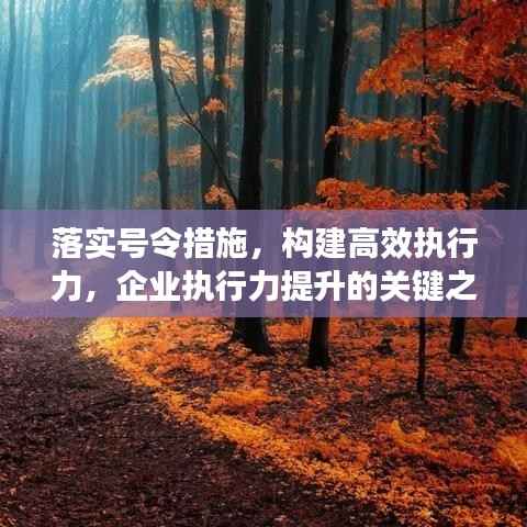 落实号令措施，构建高效执行力，企业执行力提升的关键之道