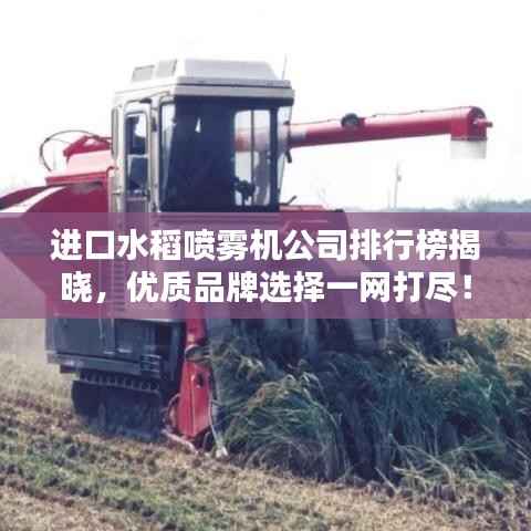 进口水稻喷雾机公司排行榜揭晓，优质品牌选择一网打尽！