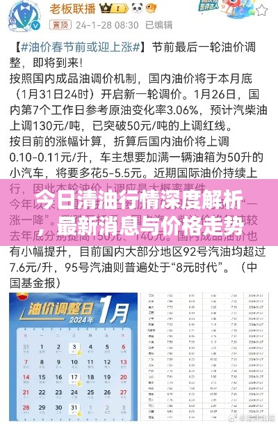 今日清油行情深度解析,最新消息与价格走势分析