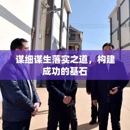 谋细谋生落实之道，构建成功的基石