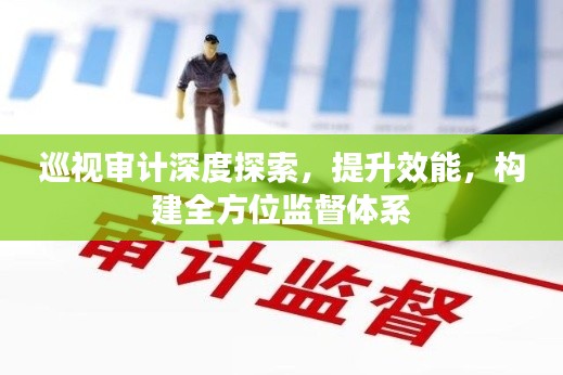 巡视审计深度探索，提升效能，构建全方位监督体系