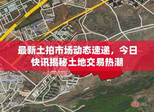 眉清目秀 第2页