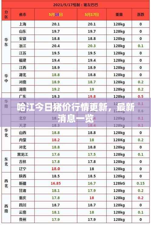 哈江今日猪价行情更新，最新消息一览