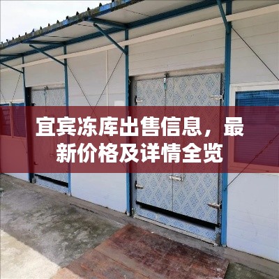 宜宾冻库出售信息，最新价格及详情全览