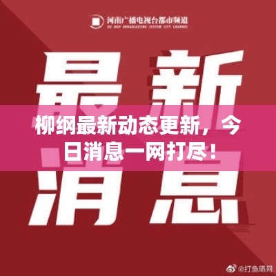 柳纲最新动态更新，今日消息一网打尽！