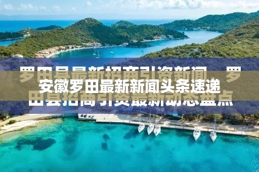 安徽罗田最新新闻头条速递