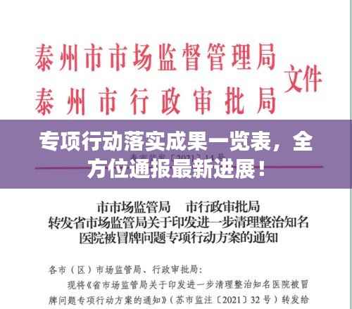 专项行动落实成果一览表,全方位通报最新进展!