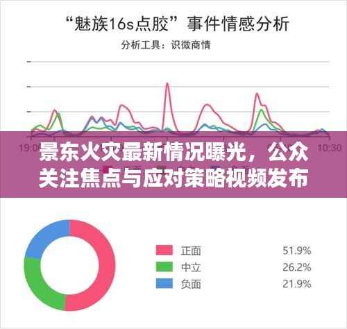 景东火灾最新情况曝光,公众关注焦点与应对策略视频发布